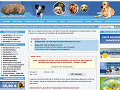 Verzeichnis f&uuml;r Hunde & Welpen ]- Hundehaftpflicht 49,90 Euro - Hunde OP nur 8,90 Euro Link hinzuf&uuml;gen